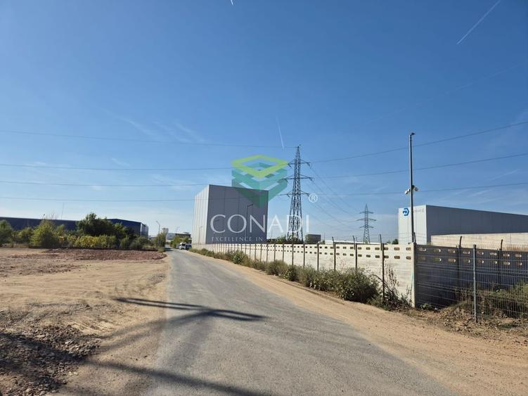 Teren Cernica - Oxigenului -  6.835 mp - 3