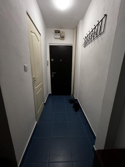 Apartament 2 camere, parter, semidecomandat, renovat in zona Sagului - 7