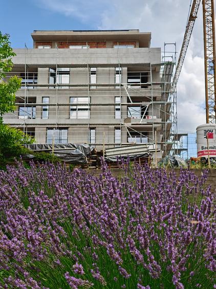 Apartament de 1 camera, ansamblu rezidential nou - 7