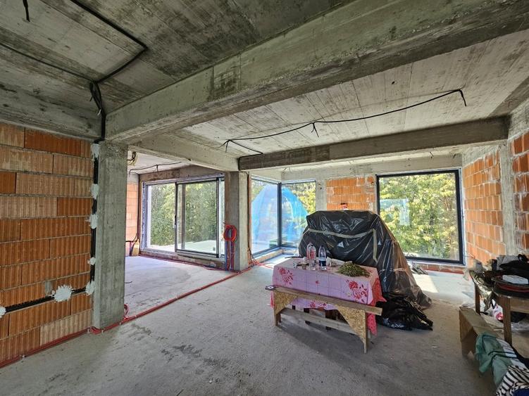 Casa Babana,  170mp + terase + subsol, inconjurata de padure, direct proprietar - 8