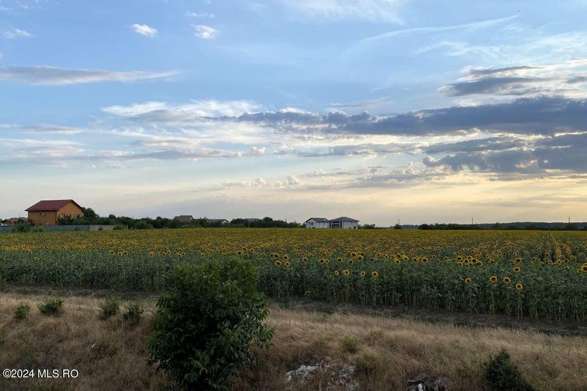 Tamasi, langa padure, 12.824 mp, deschidere 45 ml, teren cu potential! - 10