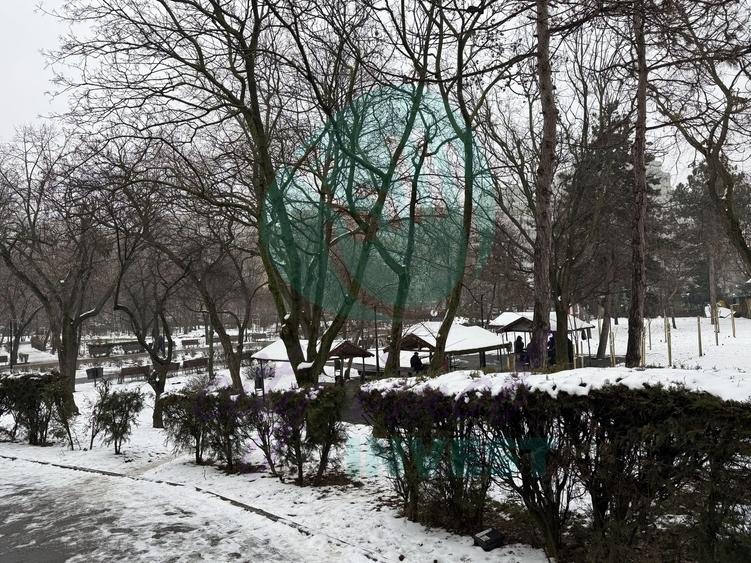 3 camere " LA CHEIE" cu vedere catre Parcul Plumbuita - 18