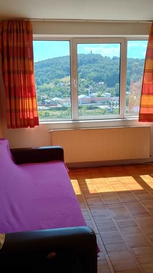 Apartament 3 camere,decomandat - 6