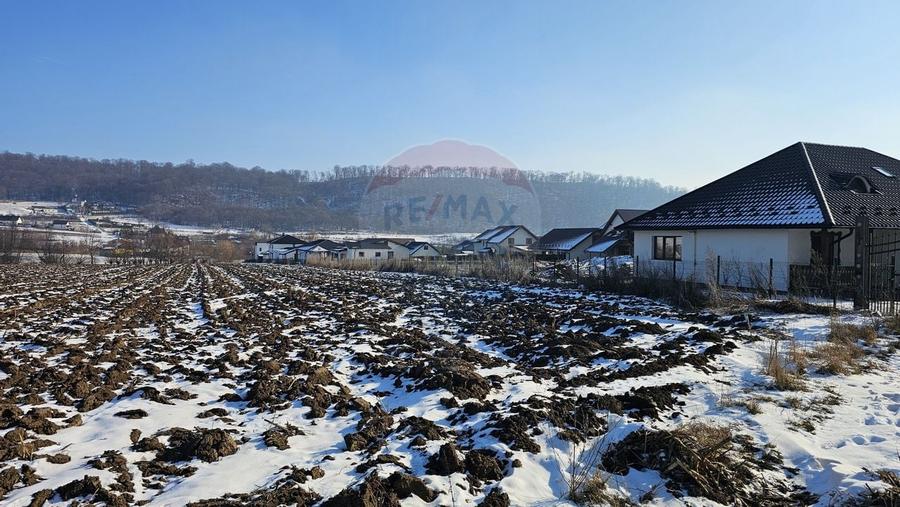 Teren intravilan 2200mp, Suceava / DJ208D - 1