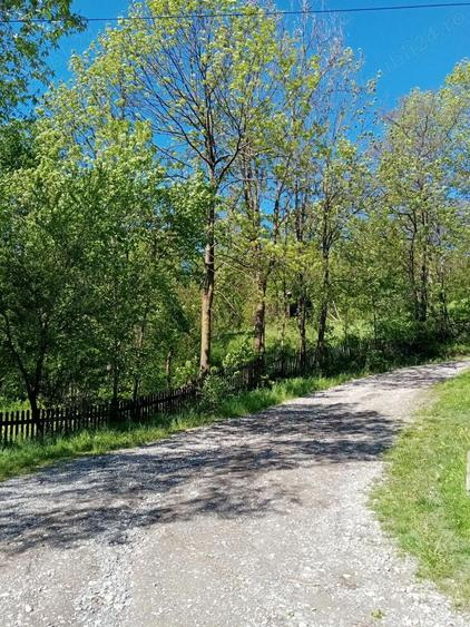 Vand casa ?i teren in Valea Doftanei. - 2