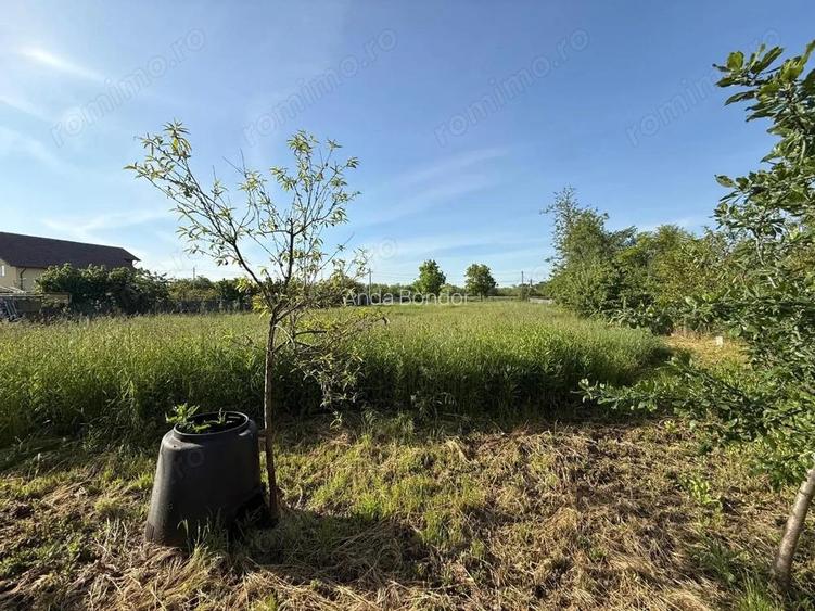 Teren de 3360 mp in exclusivitate, Sanmihaiu Roman, vedere la Bega