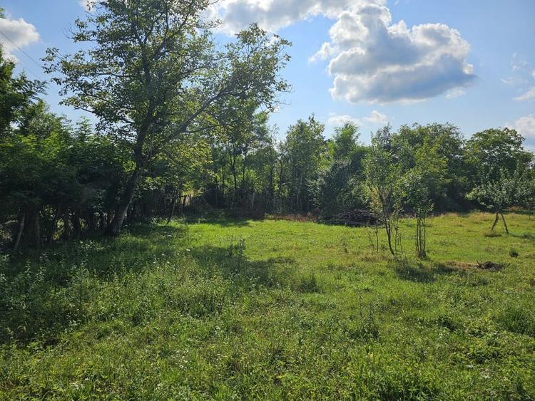 Teren intravilan - constructii, Suprafata 5.200 mp, Varzarii de Jos - 3