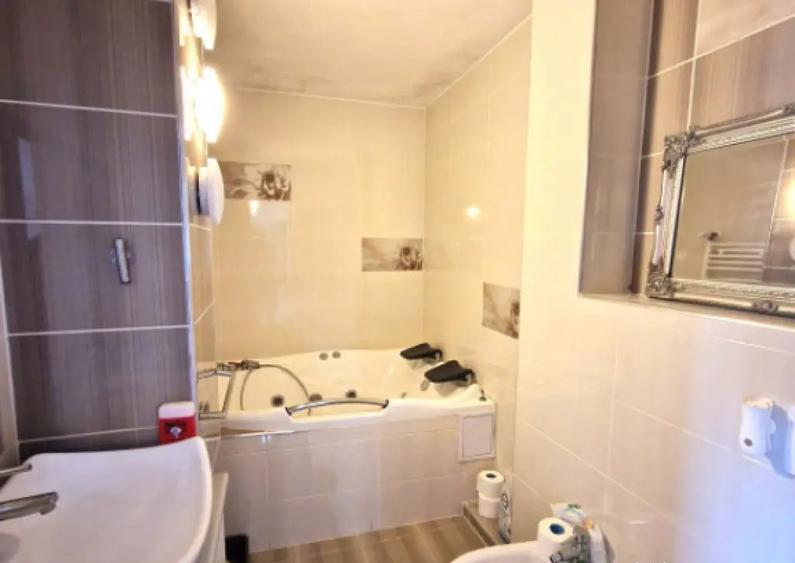 Penthouse 4 camere, 125 mp, zona Progresul - 14