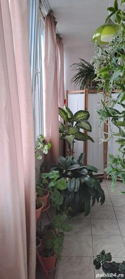 Vanzare apartament - 19