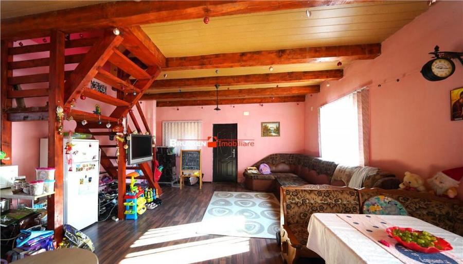 LOCUINTA TA DE VIS IN PADUREA NEAGRA - 11