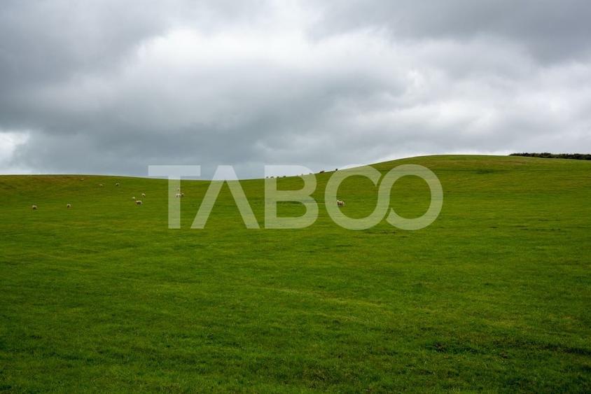 Teren intravilan de vanzare 5.986 mp Selimbar Sibiu - 1