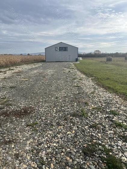 Inchiriez hala 200 mp Sal?ig curent trifazic, parcare - 4