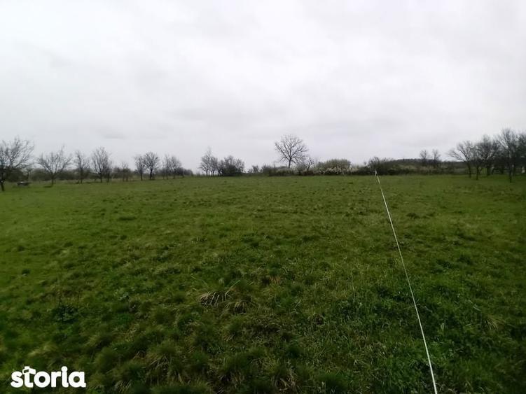 Teren intravilan Coldau la drumul european - 6