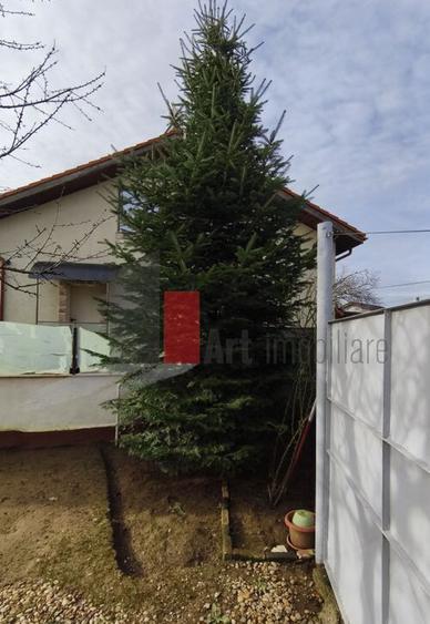 Casa curte cu teren 1600 mp Manolache - 2