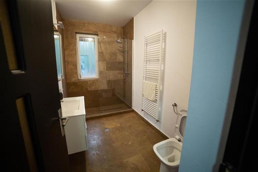 De vanzare 2 vile deosebite cu activitate hoteliera in zona turistica din jud. M - 4