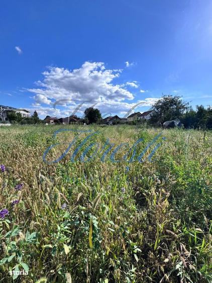 Oportunitate investitie, teren intravilan zona Terapia 2877mp - 1