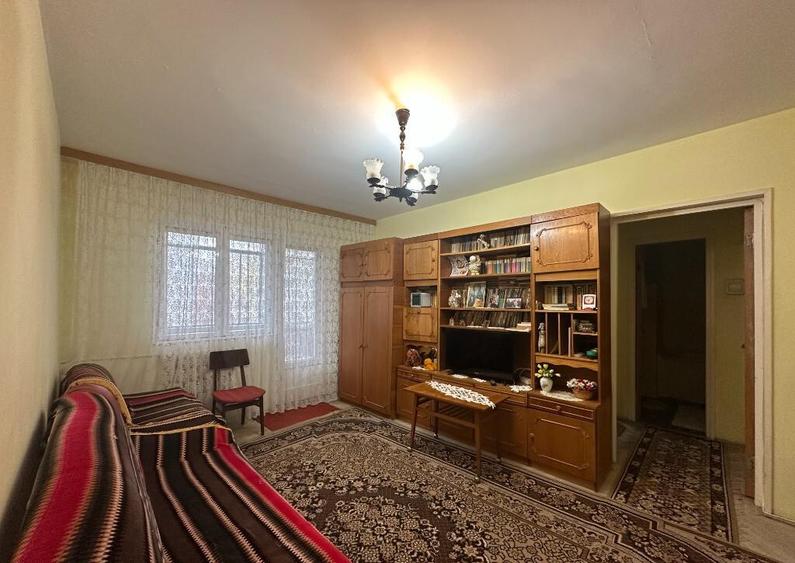 VIGAFON - Apartament 2 camere Nord-Cameliei - 3