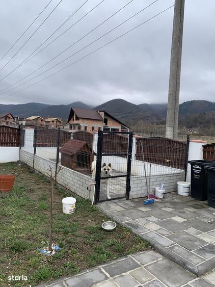Casa in Sighet sau schimb cu apartament sau casa in Bucuresti - 10