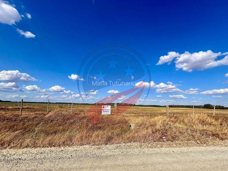 Teren 30.500 mp de vanzare in Livezi, Dolj