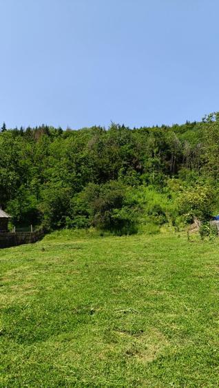 Teren intravilan cu utilitati - 5