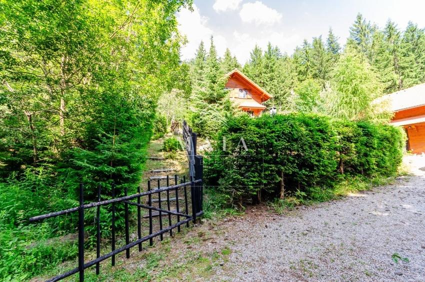 Casa 3 camere, 840 mp teren care include padure, Paltinis - 5