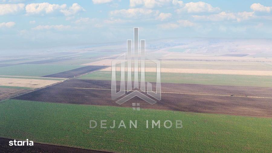 5 Ha | Teren extravilan | Langa Fabrica Reci - 1