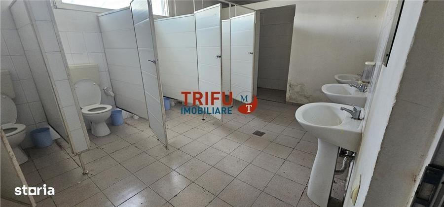 Hala industriala de inchiriat in Sebe? depozitare sau produc?ie - 6