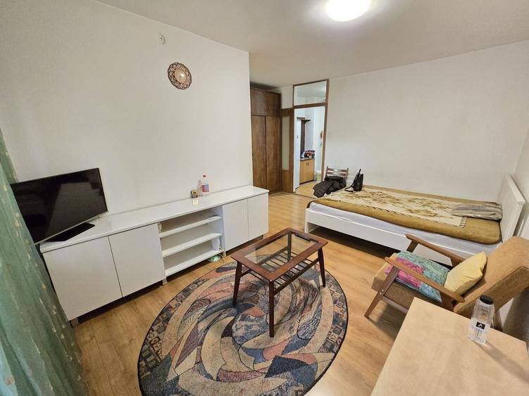 Tineretului-Parcul Tineretului / Garsoniera la Cheie - 2