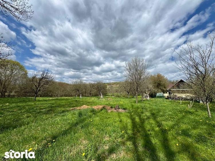 Vand casa in localitatea FILEA DE JOS - 7