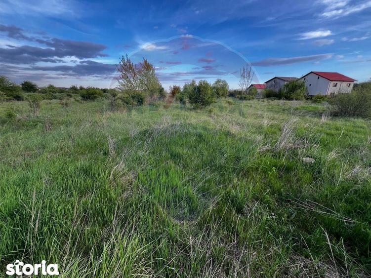 De vanzare | Teren intravilan 525mp in Teghes, comuna Domnesti, Ilfov - 4