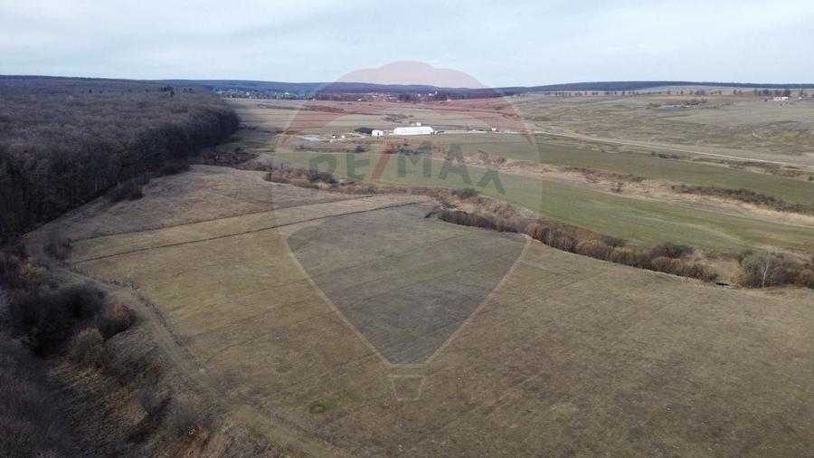 Teren 2925 mp comuna Mitocu Dragomirnei - 6