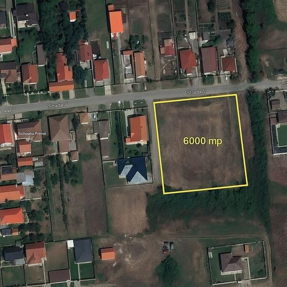 Ocazie! Teren 6.000 mp cu toate utilitățile – Săcălaz, zonă excelentă - 1