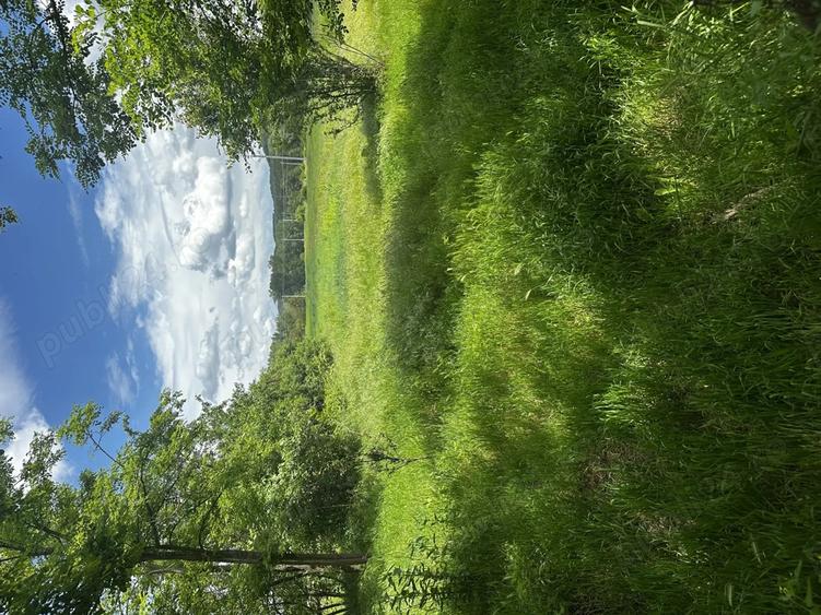 Casa batraneasca de vanzare Meline?ti jude?ul Dolj - 6