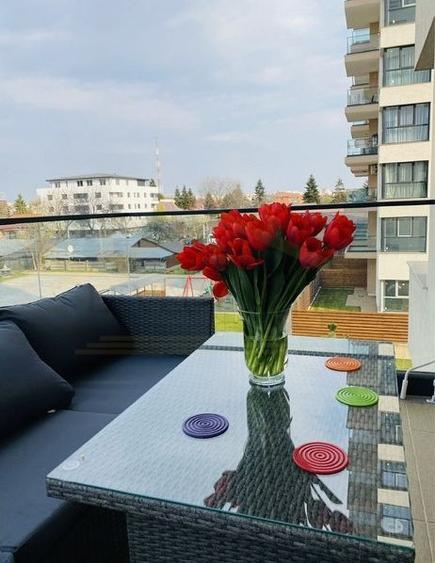 Inchiriere Apartament 2 Camere Gorjului Uverturii Apusului Ajustorului - 8