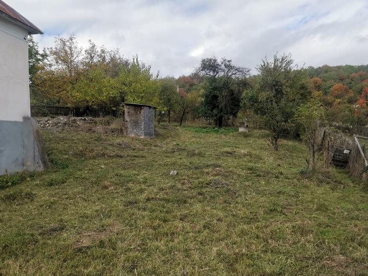 Casa batraneasca Aninoasa/ Arges, teren 1.200 mp - 21