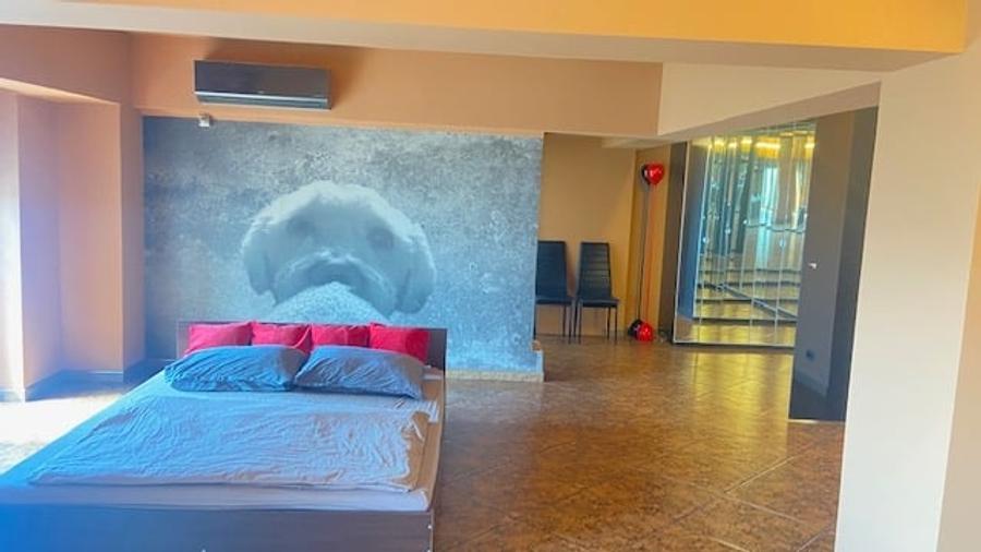 Bd. Unirii 5 camere Loft ! - 13