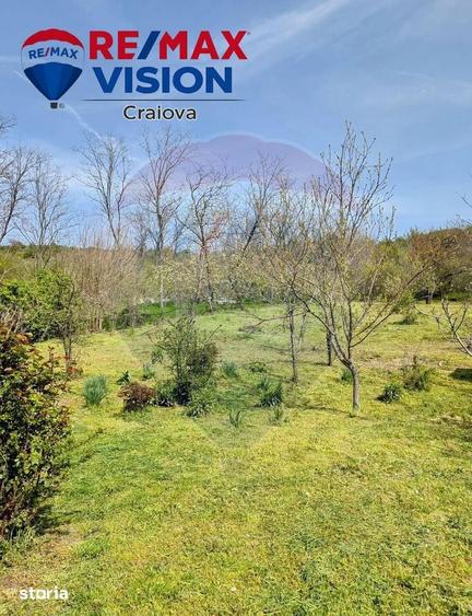 Teren 1,500mp Milesti / Aleea Aleea Preot Ion Vitan - 4