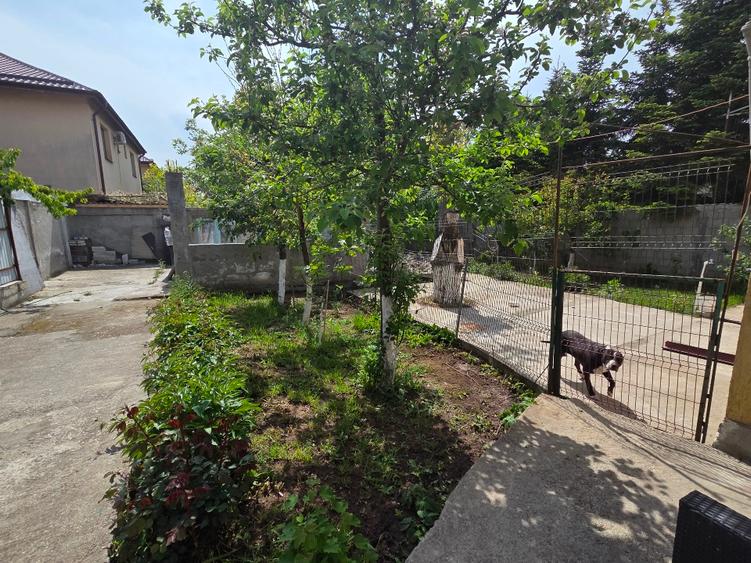 OPORTUNITATE UNICĂ | Vilă 500 mp pe teren de 600 mp în Popești-Leordeni (Sf. Agn - 5