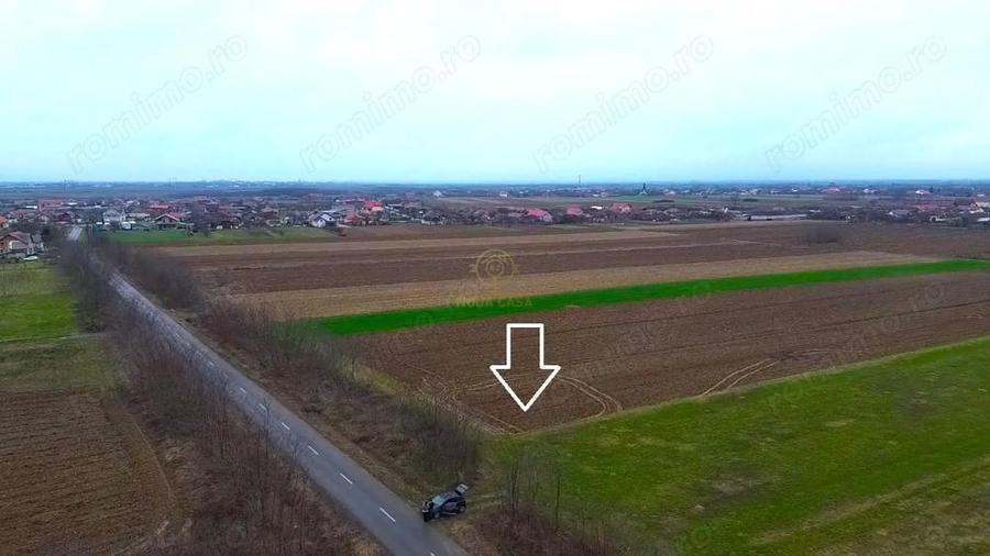 De vanzare Teren Intravilan Mediesu Aurit/Strada Asfaltata 4300MP - 3