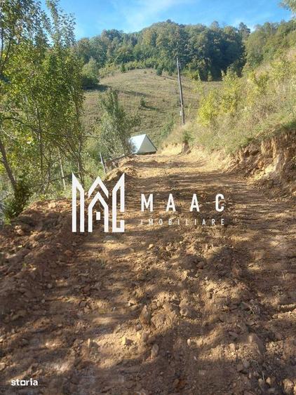 Super oferta 35000 teren in Muntii Apuseni - 5