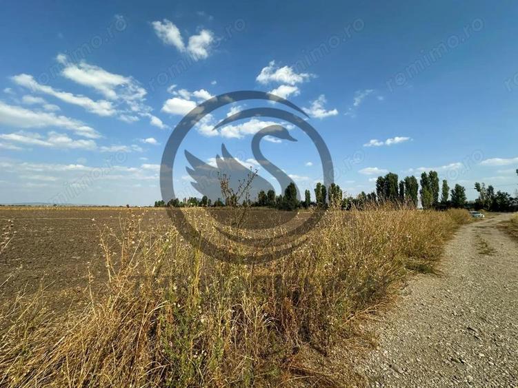 Teren extravilan de vanzare | 9882mp | Berceni - Prahova | Comision 0% - 18