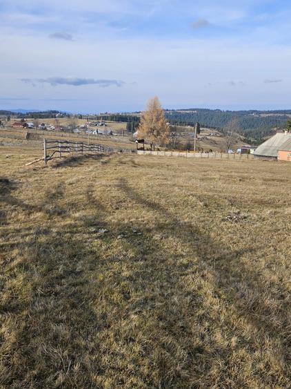 Teren de vanzare, Maguri, Cluj - 9