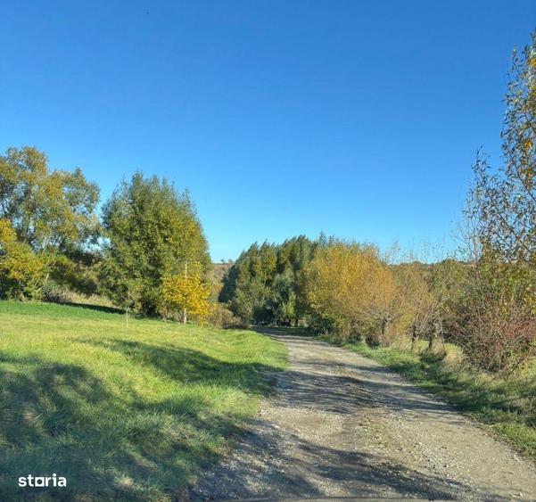 Teren de vanzare - Agapia, Neamt - 6