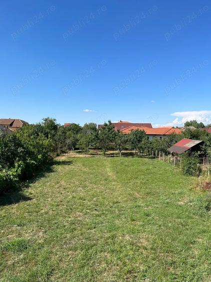 Vand casa cu etaj in Remetea Mare jud.Timis,240 mp locuibili si 1500 mp teren - 3