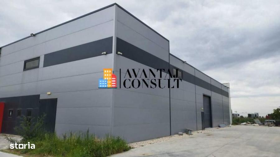 Mogosoaia centura hala cu rafturi si temperatura controlata 600 mp - 7