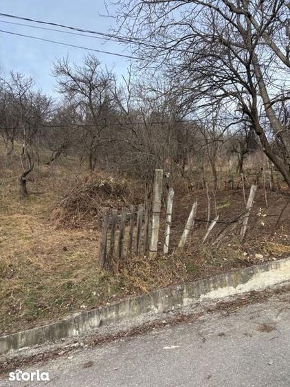 Teren de vanzare Fieni Dambovita - 3