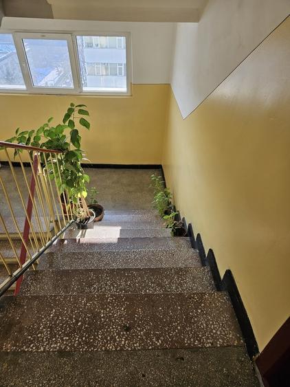 Iancului/ Sos Pantelimon (magazin Marius) - 12