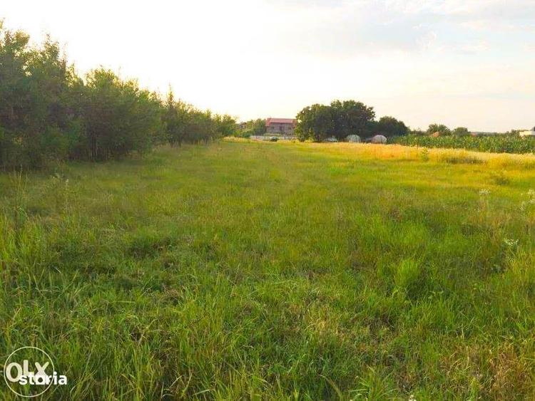 Teren intravilan de vanzare Ciofliceni | Ghermanesti | Snagov - 5