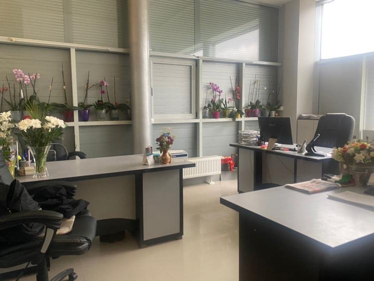 HALA PRODUCTIE + TEREN CALEA BUCURESTI - 7