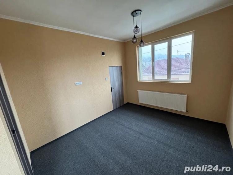 Spatiu comercial Teliu - 3